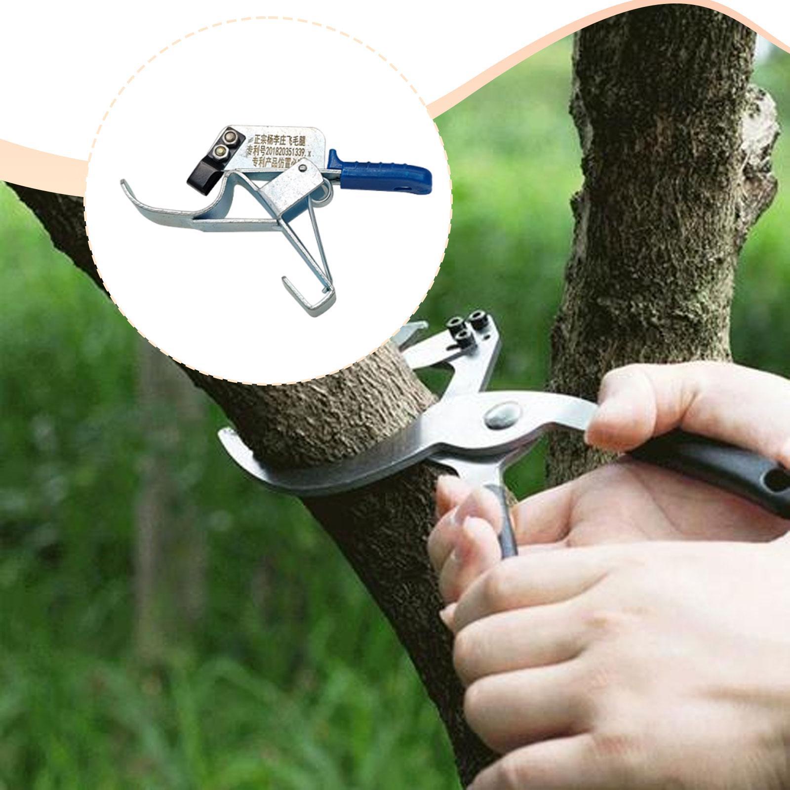 Fruit Tree Girdling Tool, Esse - Gardening Tools Essential 评论和价格