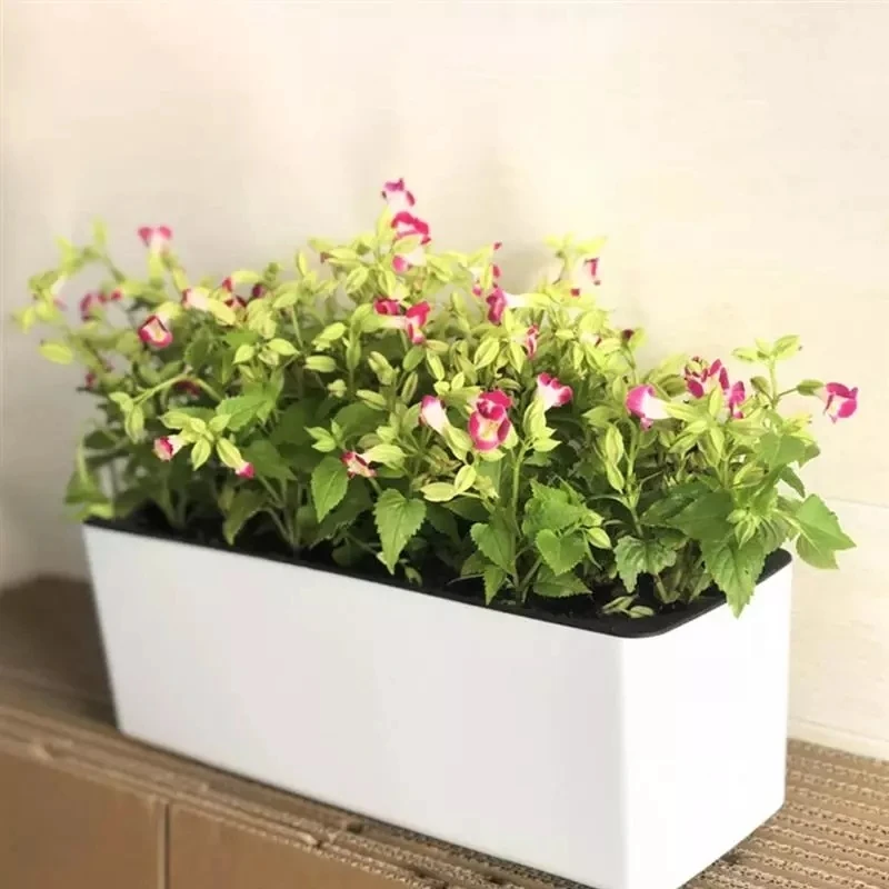 Rectangula Lazy Flower Pot Pot - Automatic Plant Waterer 评论和价格