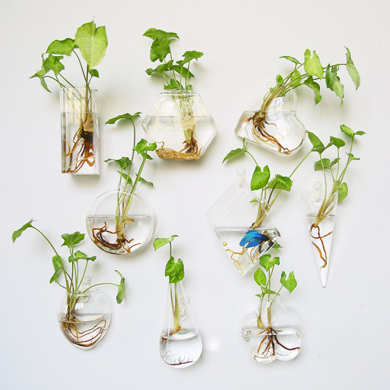 Wall Hanging Glass Terrarium - - Self-Watering Planter 评论和价格