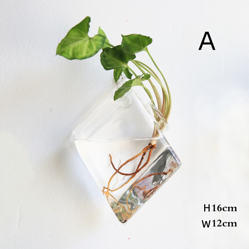 Wall Hanging Glass Terrarium - - Self-Watering Planter 评论和价格